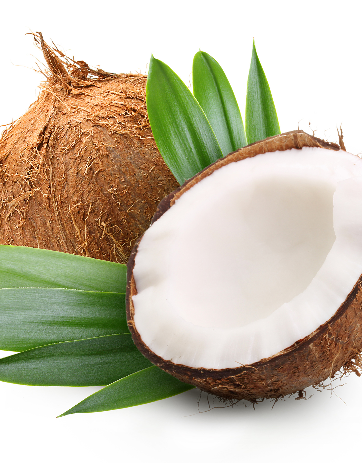 Coconut with green leaves